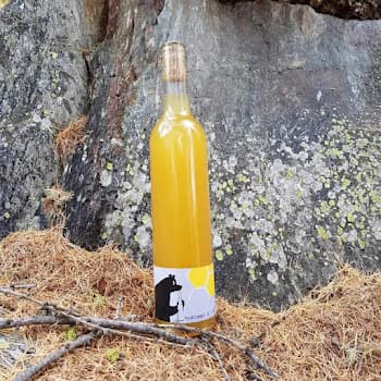 Hydromel à l'Ours in Saillon, Switzerland