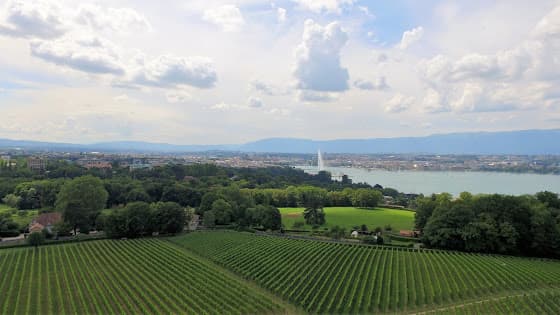 Domaine de la Vigne Blanche in Cologny, Switzerland