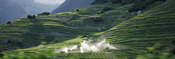 La Cave A Polyte SA - Jacques Disner - Vigneron-Encaveur in Chamoson, Switzerland