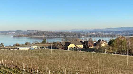 Domaine de la ville de Berne - Rebgut Stadt Bern in La Neuveville, Switzerland
