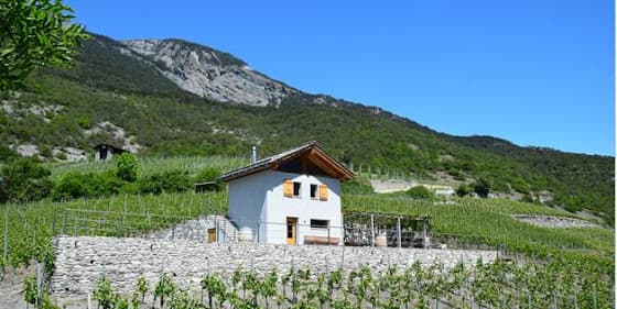 Fernand Cina SA in Salgesch, Switzerland