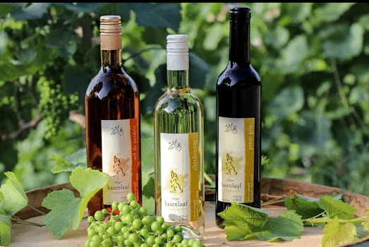 carnotzet erlach by rebgut hasenlauf in Erlach, Switzerland