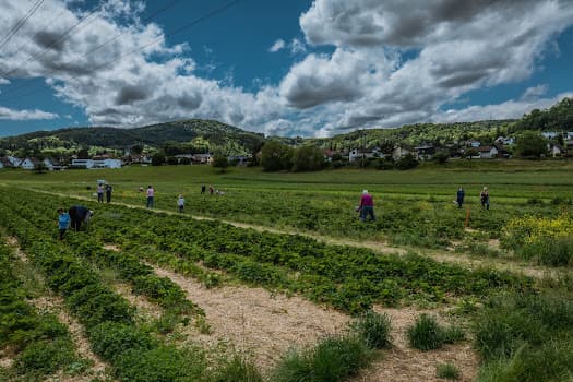 Häusermann Weinbau in Villnachern, Switzerland