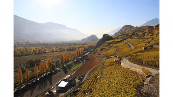 Frédéric Dumoulin SA in Uvrier, Switzerland
