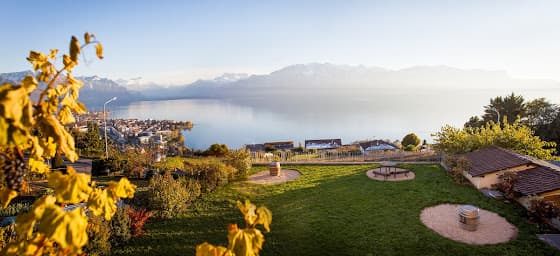 Caveau de la Pierraz | Jean-Paul Forestier Vigneron in Chardonne, Switzerland