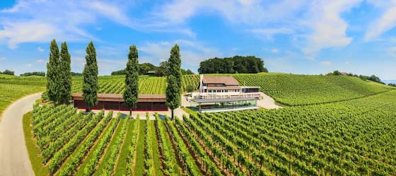 Weingut Hausammann in Uesslingen-Buch, Switzerland