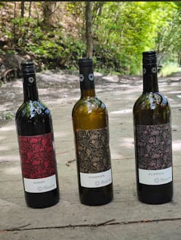 Cave Constantin-Comby in Chamoson, Switzerland