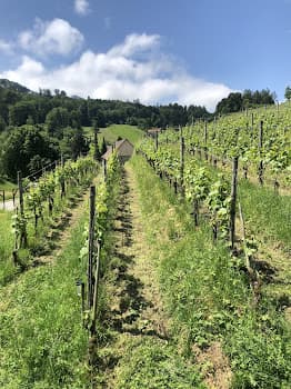 WeinWerk Wienacht AG in Wienacht-Tobel, Switzerland