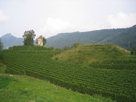Cantina Kopp von der Crone Visini in Lugano, Switzerland