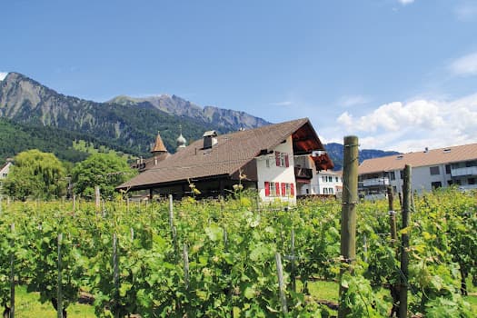 Wullschleger Weine in Maienfeld, Switzerland