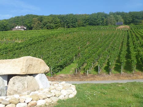 Camilien Gaille - Domaine Didier Gaille in Onnens, Switzerland