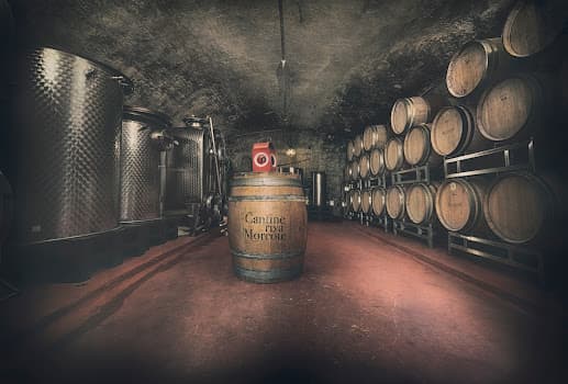 Cantine Riva Morcote in Lugano, Switzerland