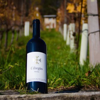 Hauksson Weine GmbH in Rüfenach, Switzerland