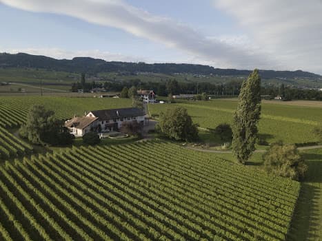 Domaine de la Dolle in Rolle, Switzerland