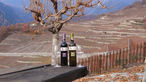 Cave Petite Vertu in Chamoson, Switzerland