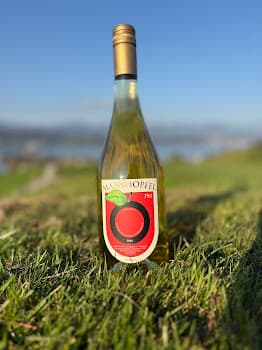 Marchöpfel Jost Hersteller von Apfelprodukten in Wangen, Switzerland