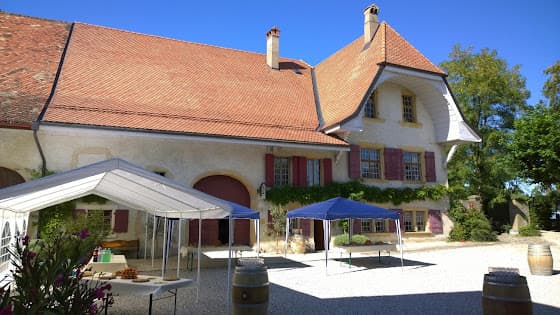 CAVE DES MURAILLES Landry Morel in Arnex-sur-Orbe, Switzerland