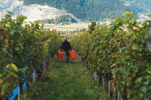 Liberto Weine in Chur, Switzerland