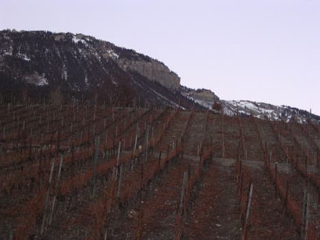 Cave St-Antoine - Marcel Albrecht in Miège, Switzerland