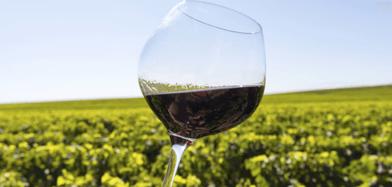 Domaine Les Revents in Rolle, Switzerland