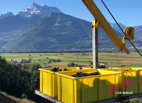 Cave Borloz - Alexandre Favre in Aigle, Switzerland