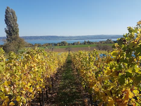 Domaine des 4 Menhirs in Corcelles-près-Concise, Switzerland