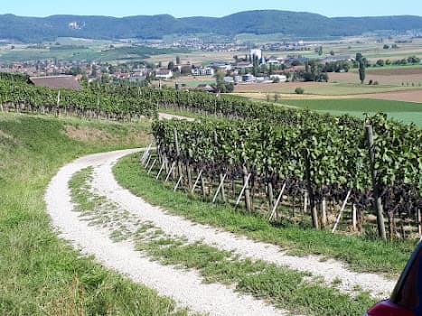 Gysel Weine vom Haumesser in Wilchingen, Switzerland