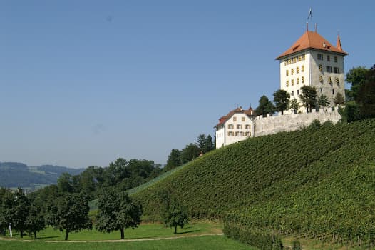 Weingut Heidegg in Gelfingen, Switzerland