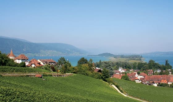 Stettler Wein Erlach in Erlach, Switzerland