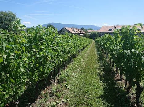 Domaine de la Tour in Meinier, Switzerland