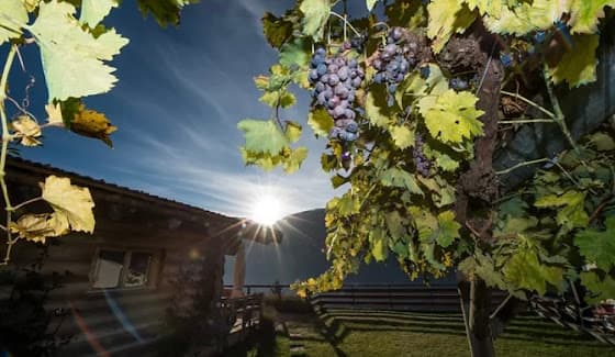 Cave Pierre Robyr in Sierre, Switzerland
