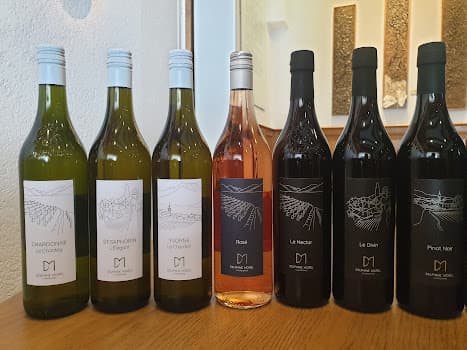 Delphine Morel in Chardonne, Switzerland