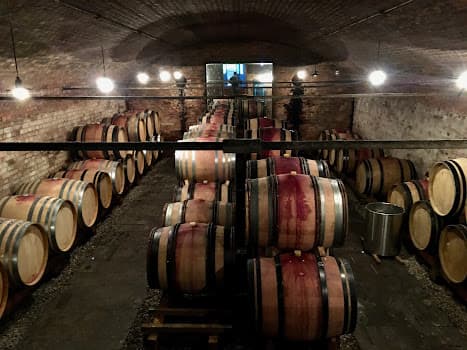 Zündel Azienda Agricola in Croglio-Castelrotto, Switzerland