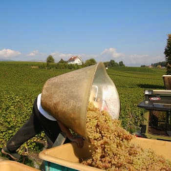 Domaine des Charmes in Satigny, Switzerland