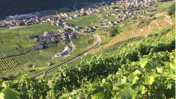 Cave La Cinquième Saison in Martigny, Switzerland