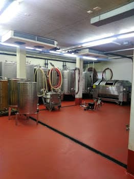 Cantina Böscioro in Cugnasco, Switzerland