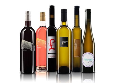 Cave du Chavalard - Gilles et Andrea CARRON-FEDERER in Fully, Switzerland