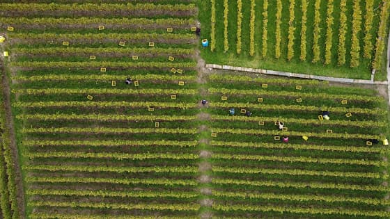 Domaine Bernard Gorjat in Villette, Switzerland