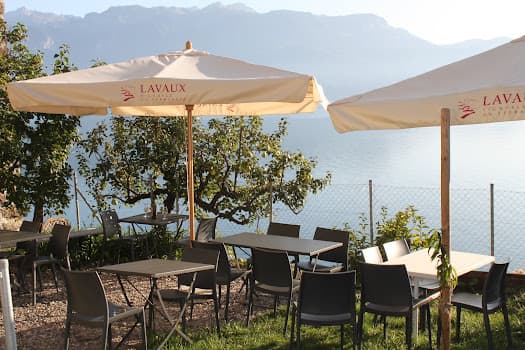 Robert et Vincent Chevalley in Rivaz, Switzerland