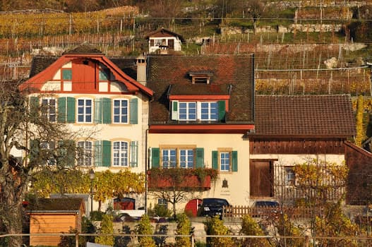 Johannes Louis Weinbau in Ligerz, Switzerland