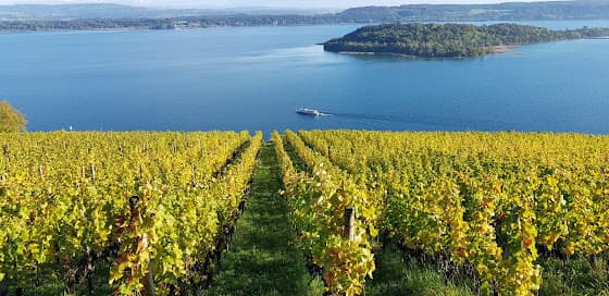 Steiner Schernelz Village in Ligerz, Switzerland