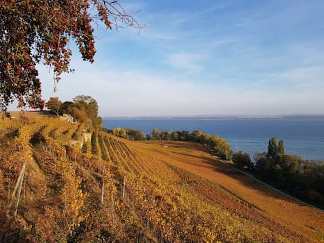 Domaine Brunner Sàrl in Bevaix, Switzerland