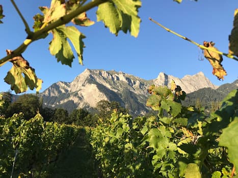 Weingut Stäger, Maienfeld in Maienfeld, Switzerland