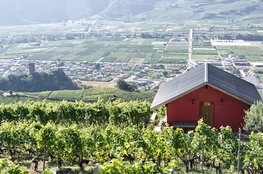 Cave Mandolé SA in Saillon, Switzerland