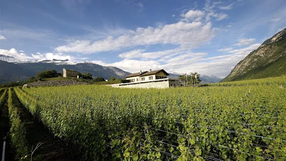 Domaines Rouvinez SA in Sierre, Switzerland