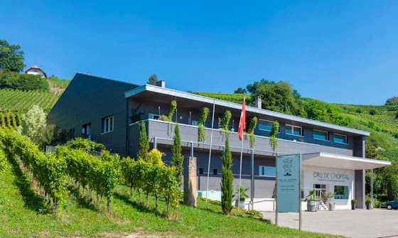 Cru de l'Hôpital in Môtier (Vully), Switzerland