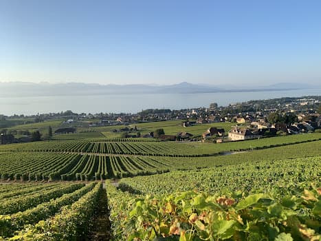 Domaine de Roliebot in Mont-sur-Rolle, Switzerland