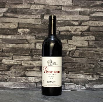 BIOCAVE Marc Güntert in Miège, Switzerland