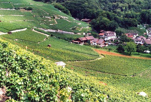 Domaine de Trécord in Ollon, Switzerland