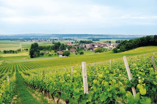 Cave de la Combe Marendaz in Mathod, Switzerland
